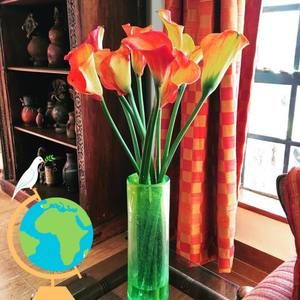 Meet your Posher, Ruth